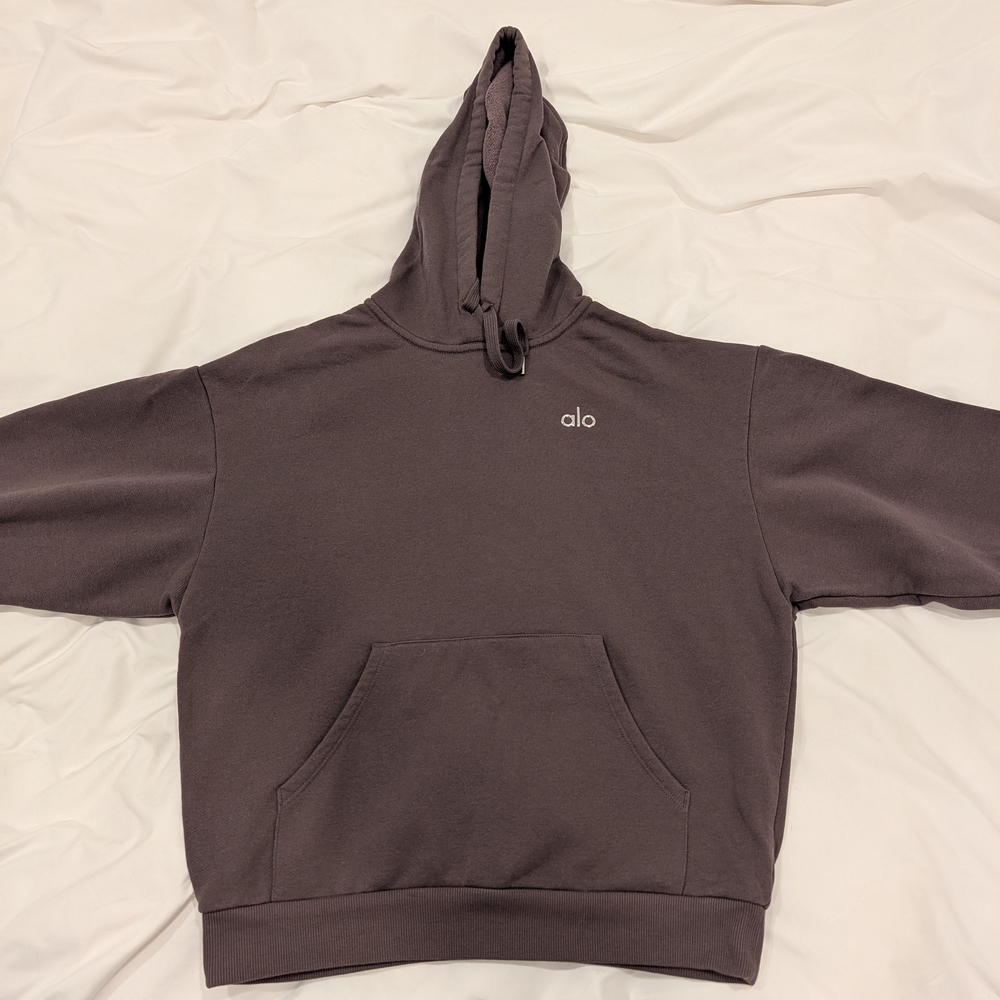 ALO Yoga Accolade Hoodie Rasinette XS